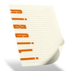 KORU TARİHSİZ DEFTER (15X21 CM)